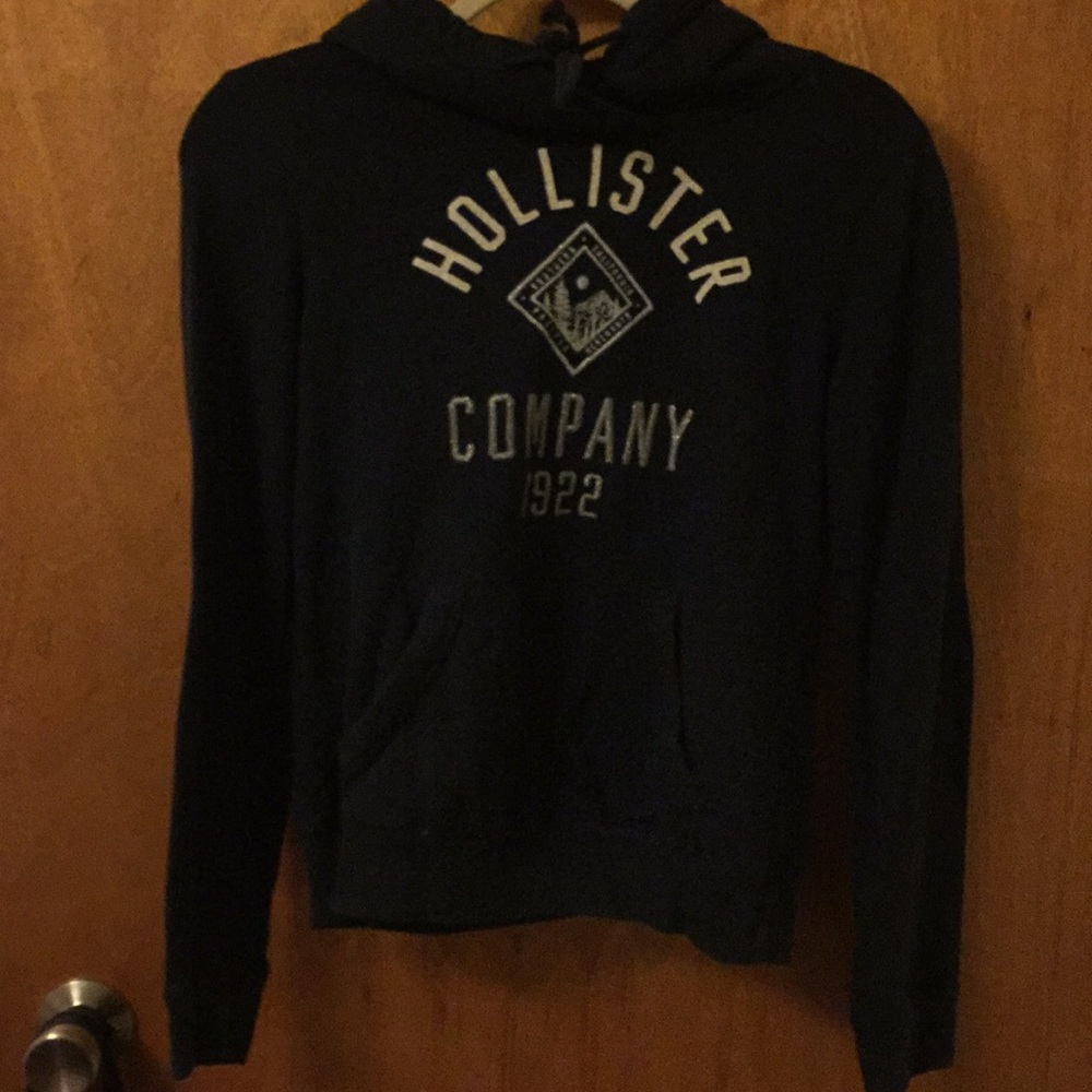 Hollister sweatshirt